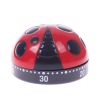 1pc Ladybug Cooking Timer; Mechanical Clock 60 Minutes Cartoon Timer; Kitchen Timer Reminder Baking Clock; No Battery; Kitchen Accessories - Default